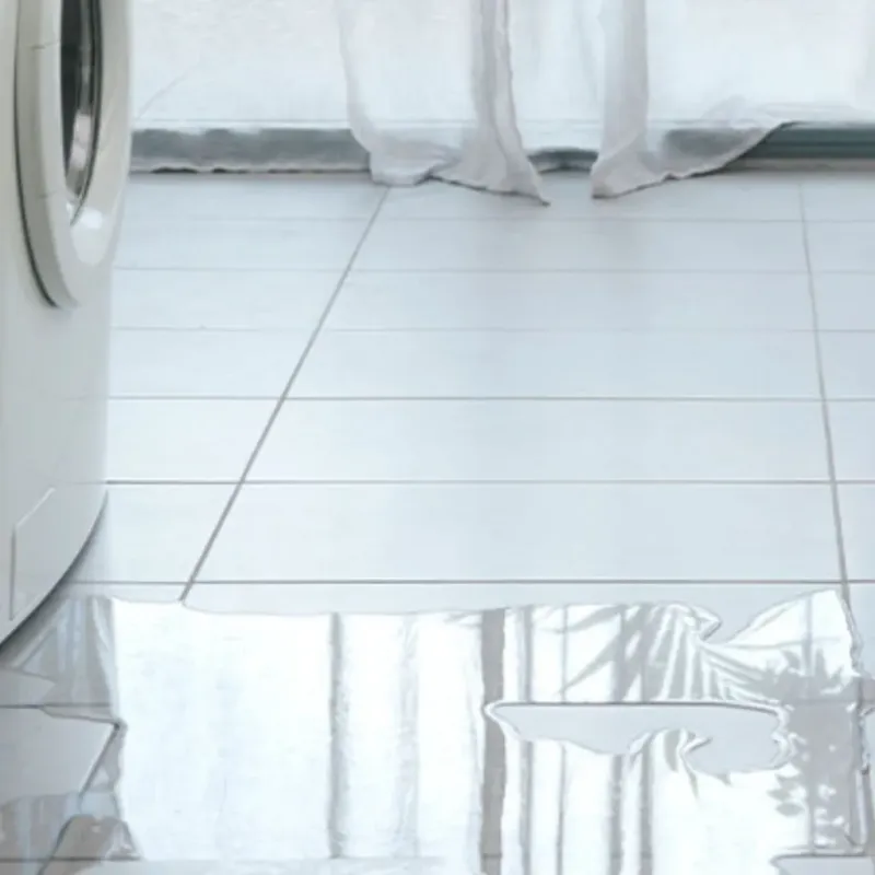 Appliance Leak Cleanup in Sun City, AZ
