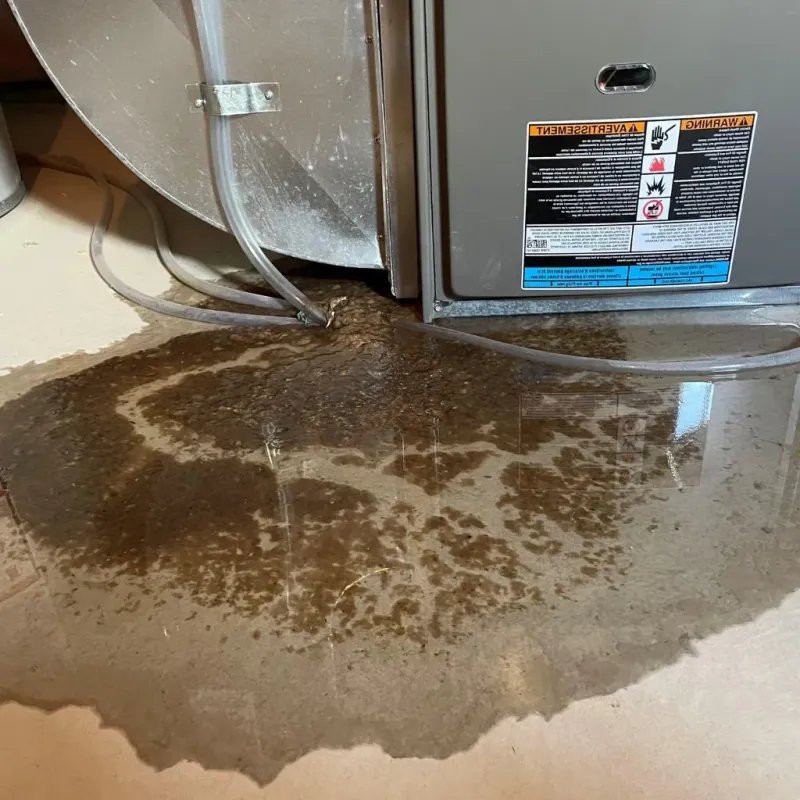 Pipe Burst and Leak Restoration in Sun City, AZ